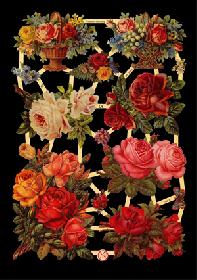 Glanzbilder - rote Rosen Glanzbilder - rote Rosen