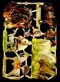 Glanzbilder - Pferde Glanzbilder - Pferde