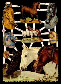 Glanzbilder - Pferde an der Tränke Glanzbilder - Pferde an der Tränke