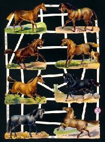 Glanzbilder - 8 Pferde Glanzbilder - 8 Pferde