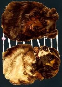 Glanzbilder - 2 große Hund Glanzbilder - 2 große Hund