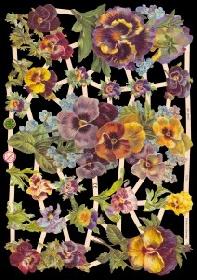 Glanzbilder - Stiefmütterchen Glanzbilder - Stiefmütterchen