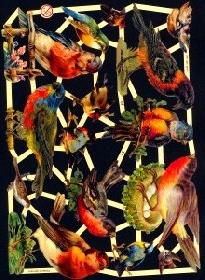 Glanzbilder - dunkle Vögel Glanzbilder - dunkle Vögel