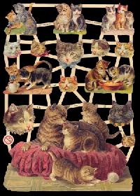 Glanzbilder - Katzen Glanzbilder - Katzen