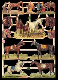 Glanzbilder - Pferde Glanzbilder - Pferde