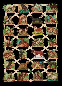 Glanzbilder - Hunde Glanzbilder - Hunde