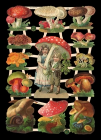 Glanzbilder - Pilze Glanzbilder - Pilze