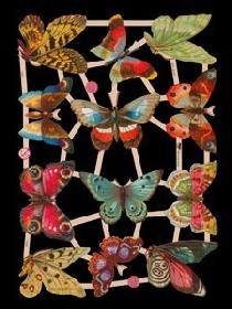 Glanzbilder - Schmetterling Glanzbilder - Schmetterling