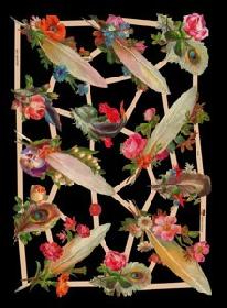 Glanzbilder - Federn Glanzbilder - Federn