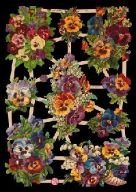 Glanzbilder - Stiefmütterchen Glanzbilder - Stiefmütterchen