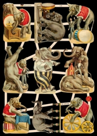 Glanzbilder - Zirkuselefanten Glanzbilder - Zirkuselefanten