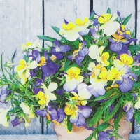 Servietten 25x25 cm - Pansy Mix Servietten 25x25 cm - Pansy Mix