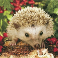 Servietten 33x33 cm - Barnie