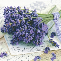 Servietten 33x33 cm - Lavender Greetings