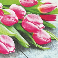 Servietten 33x33 cm - Pink Tulips