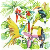 Servietten 33x33 cm - Birds of Paradise