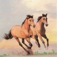 Servietten 33x33 cm - Wild Horses