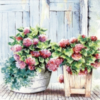 Servietten 33x33 cm - Cottage Hydrangea