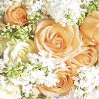 Servietten 33x33 cm - Roses and Lilac