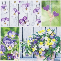Servietten 33x33 cm - Pansy Mix Servietten 33x33 cm - Pansy Mix