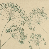 Servietten 33x33 cm - Harmony Servietten 33x33 cm - Harmony