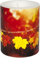 Dekorkerze - Sunny Fall