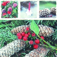 Servietten 33x33 cm - Red Frozen Berries