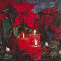 Servietten 33x33 cm - Candlelight Poinsettia