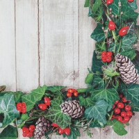 Servietten 33x33 cm - Ivy Wreath