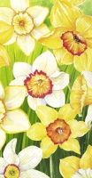 Buffet Servietten - DAFFODILS FIELD Buffet Servietten - DAFFODILS FIELD