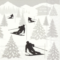 Servietten 25x25 cm - SKI HOLIDAY
