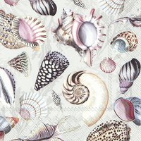 Servietten 25x25 cm - SHELLS OF THE SEA nature Servietten 25x25 cm - SHELLS OF THE SEA nature