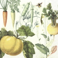 Servietten 25x25 cm - CULINARIX HERBS Servietten 25x25 cm - CULINARIX HERBS