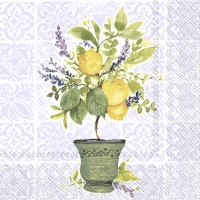 Servietten 25x25 cm - LEMON TREE Servietten 25x25 cm - LEMON TREE