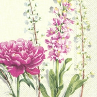 Servietten 25x25 cm - PFINGSTROSE light green Servietten 25x25 cm - PFINGSTROSE light green