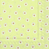 Servietten 33x33 cm - BETTY light green Servietten 33x33 cm - BETTY light green