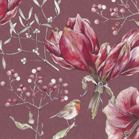 Servietten 33x33 cm - WINTER AMARYLLIS red Servietten 33x33 cm - WINTER AMARYLLIS red