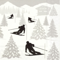 Servietten 33x33 cm - SKI HOLIDAY