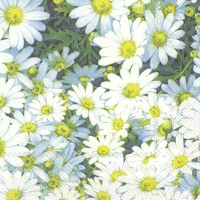 Servietten 33x33 cm - MARGARET Servietten 33x33 cm - MARGARET