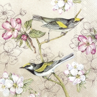 Servietten 33x33 cm - BIRDS SYMPHONY cream Servietten 33x33 cm - BIRDS SYMPHONY cream