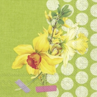 Servietten 33x33 cm - NARZISSE green Servietten 33x33 cm - NARZISSE green
