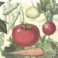 Servietten 33x33 cm - CULINARIX Servietten 33x33 cm - CULINARIX