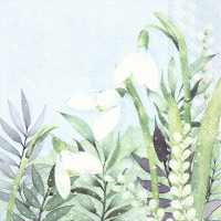 Servietten 33x33 cm - MONIKA Servietten 33x33 cm - MONIKA