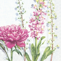 Servietten 33x33 cm - PFINGSTROSE light blue Servietten 33x33 cm - PFINGSTROSE light blue