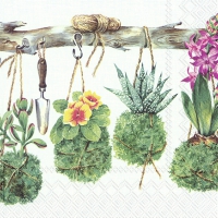 Servietten 33x33 cm - MARTINA light blue Servietten 33x33 cm - MARTINA light blue