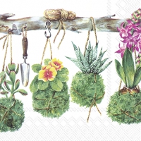 Servietten 33x33 cm - MARTINA white Servietten 33x33 cm - MARTINA white