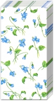 Taschentücher - VIOLA RIVINIANA white