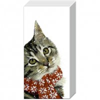 Taschentücher - KITTY