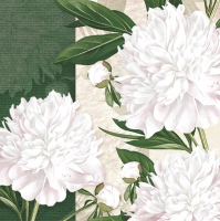 Servietten 33x33 cm - Dewed White Peonies