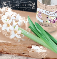 Servietten 25x25 cm - Printemps